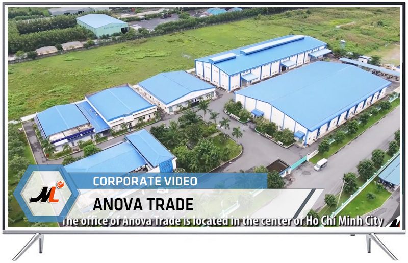 Corporate Video ANOVA Trade
